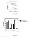 Fig. 42 - Therapies for hematologic malignancies