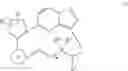 Fig. 04 - Macrocyclic compounds as Trk kinase inhibitors