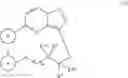 Fig. 32 - Macrocyclic compounds as Trk kinase inhibitors