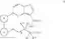 Fig. 33 - Macrocyclic compounds as Trk kinase inhibitors
