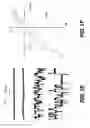 Fig. 04 - NOVEL NON-SELECTIVE CATION CHANNEL IN NEURONAL CELLS AND METHODS FOR TREATING BRAIN SWELLING