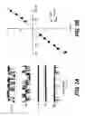 Fig. 05 - NOVEL NON-SELECTIVE CATION CHANNEL IN NEURONAL CELLS AND METHODS FOR TREATING BRAIN SWELLING