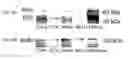 Fig. 25 - NOVEL NON-SELECTIVE CATION CHANNEL IN NEURONAL CELLS AND METHODS FOR TREATING BRAIN SWELLING