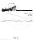 Fig. 26 - NOVEL NON-SELECTIVE CATION CHANNEL IN NEURONAL CELLS AND METHODS FOR TREATING BRAIN SWELLING