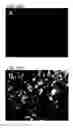 Fig. 32 - NOVEL NON-SELECTIVE CATION CHANNEL IN NEURONAL CELLS AND METHODS FOR TREATING BRAIN SWELLING