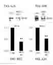 Fig. 49 - NOVEL NON-SELECTIVE CATION CHANNEL IN NEURONAL CELLS AND METHODS FOR TREATING BRAIN SWELLING