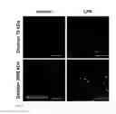 Fig. 04 - DRUG DELIVERY ENHANCER COMPRISING SUBSTANCE FOR ACTIVATING LYSOPHOSPHOLIPID RECEPTORS