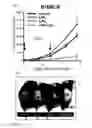 Fig. 06 - DRUG DELIVERY ENHANCER COMPRISING SUBSTANCE FOR ACTIVATING LYSOPHOSPHOLIPID RECEPTORS