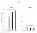 Fig. 28 - Compositions, kits, and methods to induce acquired cytoresistance using stress protein inducers