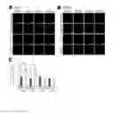 Fig. 04 - CARDIAC CELL CULTURE MATERIAL