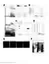 Fig. 06 - CARDIAC CELL CULTURE MATERIAL