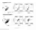 Fig. 14 - CARDIAC CELL CULTURE MATERIAL