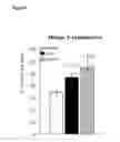 Fig. 04 - Composition for use in treating or preventing viral or bacterial infections in a subject undergoing anti-tumor chemotherapy, leukemia treatment or aids therapy comprising LER03 and/or LS06