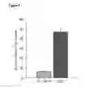 Fig. 06 - Composition for use in treating or preventing viral or bacterial infections in a subject undergoing anti-tumor chemotherapy, leukemia treatment or aids therapy comprising LER03 and/or LS06