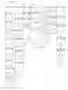 Fig. 08 - Peptides and peptidomimetics in combination with t cell activating and/or checkpoint inhibiting agents for cancer treatment