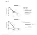 Fig. 13 - Peptides and peptidomimetics in combination with t cell activating and/or checkpoint inhibiting agents for cancer treatment