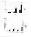 Fig. 20 - Peptides and peptidomimetics in combination with t cell activating and/or checkpoint inhibiting agents for cancer treatment