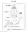 Fig. 03 - METHODS FOR TREATING BRAIN INSULIN RESISTANCE