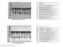 Fig. 03 - Liquid pharmaceutical composition of conjugated erythropoietin