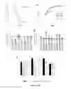 Fig. 14 - Systemic gene replacement therapy for treatment of X-linked myotubular myopathy (XLMTM)