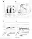 Fig. 19 - Systemic gene replacement therapy for treatment of X-linked myotubular myopathy (XLMTM)