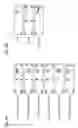 Fig. 04 - HER2 antigenic polypeptide compositions, and methods for their use in treatment and prevention of carcinomas