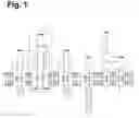 Fig. 02 - Antigen-specific T cell receptors and T cell epitopes
