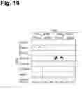 Fig. 11 - Antigen-specific T cell receptors and T cell epitopes