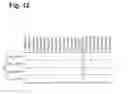Fig. 13 - Antigen-specific T cell receptors and T cell epitopes
