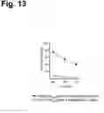 Fig. 14 - Antigen-specific T cell receptors and T cell epitopes