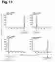 Fig. 19 - Antigen-specific T cell receptors and T cell epitopes