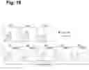 Fig. 20 - Antigen-specific T cell receptors and T cell epitopes