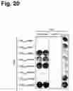 Fig. 21 - Antigen-specific T cell receptors and T cell epitopes
