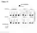 Fig. 06 - Allergy inhibitor compositions and kits and methods of using the same