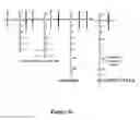 Fig. 08 - MULTI-VALENT ADJUVANT DISPLAY