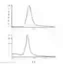 Fig. 03 - Conjugates comprising an anti-EGFR1 antibody