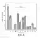 Fig. 04 - Composition for sustained drug delivery comprising geopolymeric binder