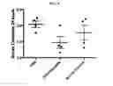 Fig. 05 - VE-CADHERIN BINDING BIOCONJUGATE