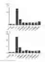 Fig. 14 - Cell penetrating peptide, conjugate comprising same, and composition comprising conjugate