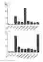 Fig. 17 - Cell penetrating peptide, conjugate comprising same, and composition comprising conjugate