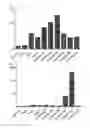 Fig. 19 - Cell penetrating peptide, conjugate comprising same, and composition comprising conjugate