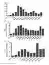 Fig. 27 - Cell penetrating peptide, conjugate comprising same, and composition comprising conjugate