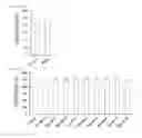 Fig. 29 - Cell penetrating peptide, conjugate comprising same, and composition comprising conjugate
