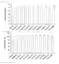 Fig. 33 - Cell penetrating peptide, conjugate comprising same, and composition comprising conjugate