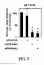 Fig. 03 - Methods and materials for increasing viral vector infectivity