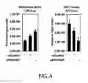 Fig. 05 - Methods and materials for increasing viral vector infectivity