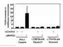 Fig. 07 - Methods and materials for increasing viral vector infectivity