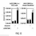 Fig. 09 - Methods and materials for increasing viral vector infectivity