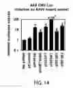 Fig. 15 - Methods and materials for increasing viral vector infectivity