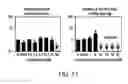Fig. 18 - Methods and materials for increasing viral vector infectivity